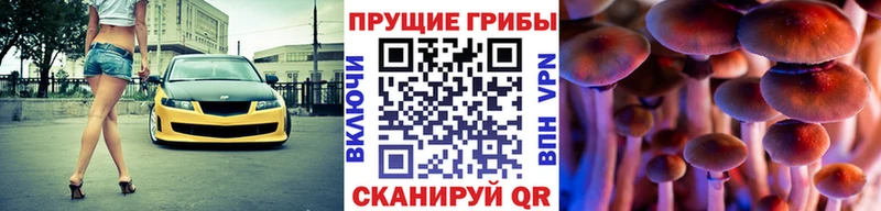 hydra зеркало  где купить   Чапаевск  Псилоцибиновые грибы прущие грибы 